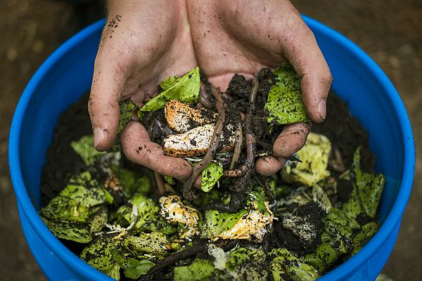 Blue bucket of food scraps with two light-skinned hands holding worms and food scraps above it.