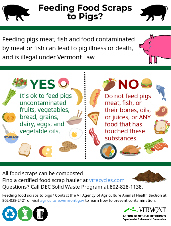 Vermont Agency of Natural Resources handout about feeding food scraps to pigs
