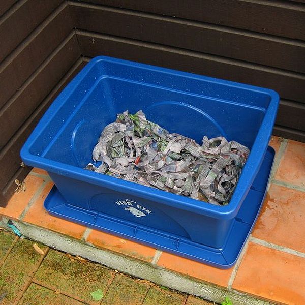 Blue plastic bin containing shredded newspaper