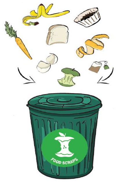 Food scraps going into a food scrap collection container