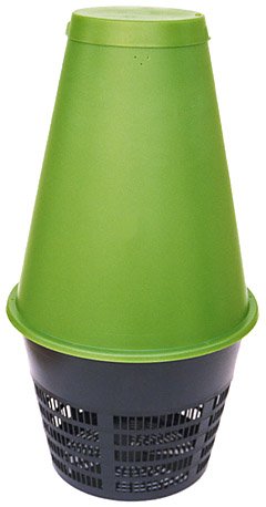 Green Cone