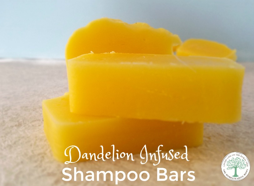 shampoo bar