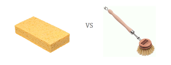 sponge